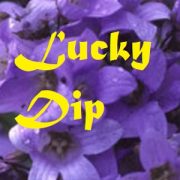 Lucky Dip 5 seed packet bundle