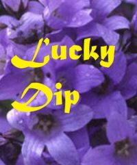Lucky Dip 5 seed packet bundle